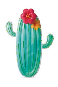 INTEX CACTUS FLOAT 58793EU