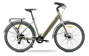 MS ENERGY električni bicikl eBike Zorya bronze_REG