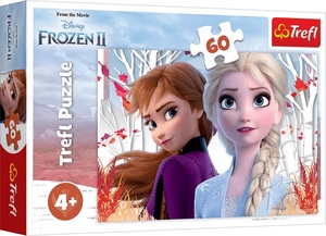 TREF LINE PUZZLE 60  THE ENCHANTED WO T17333