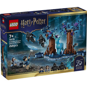 LEGO Zabranjena šuma: Ekspekto patronum 76475