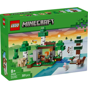 LEGO Avantura prve noći 21593