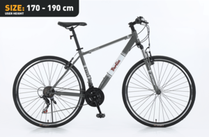 Xplorer gradski bicikl BERLIN Gray 28"