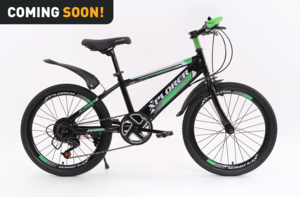 Dečiji bicikl Xplorer Ranger black-green 20"