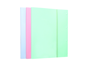 DELI FASCIKLA DISPLAY BOOK - MACAROON (HORIZONTALNA) 40 lista A3 ili 80 lista A4