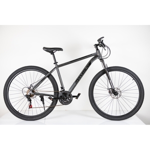 Winnerbike Bicikl 29"/21  maximus grey Bck0953