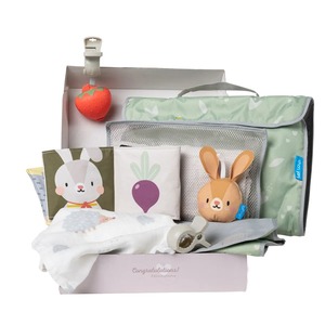 Taf Toys outdoors kit za kolica 22114113