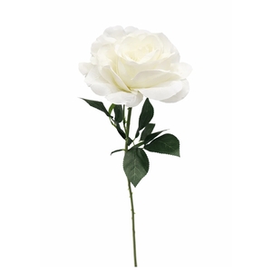 Dekordom Cvet rose 1183181/1 - white - edl