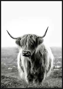 Dekordom Slika sa ramom 60x90 toir25624 - buffalo