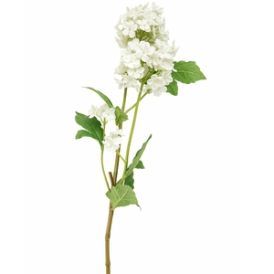 Dekordom Cvet elder 1183181/3 - white - edl