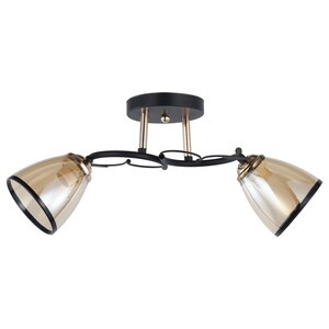 Forma Plafonska lampa MD2740-2 BK+GD