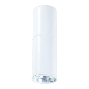 Forma LED plafonska lampa F2603-12C WH
