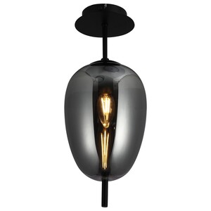 Forma Plafonska lampa F4014-1C BK+SM