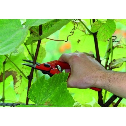 UNIOR Makaze za lozu 544PR 601580