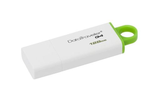 USB memorija Kingston 128GB DTIG4