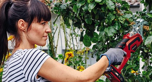 Einhell GE-GS 18 Li-Solo akumulatorska testera za orezivanje (bez baterije i punjača)