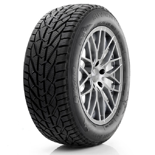Tigar 205/55R16 91T WINTER