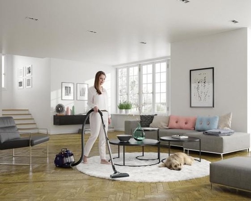 Electrolux usisivač ESPC71DB