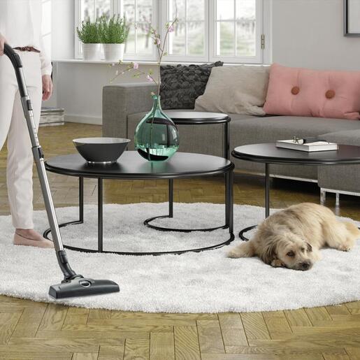 Electrolux usisivač ESPC71DB