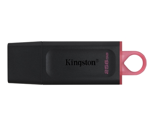 USB memorija Kingston 256GB DataTraveler Exodia (DTX/256GB)