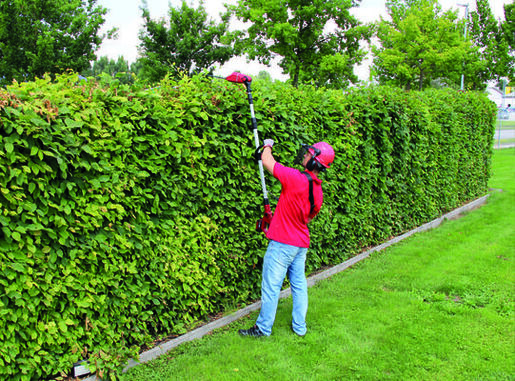 Einhell GE-HC 18 Li T-Solo akumulatorski multifunkcionalni alat (bez baterije i punjača)