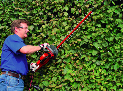 Einhell GC-EH 6055/1 električne makaze za žbunje