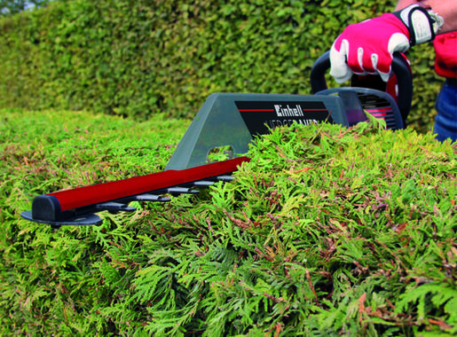 Einhell GC-EH 6055/1 električne makaze za žbunje