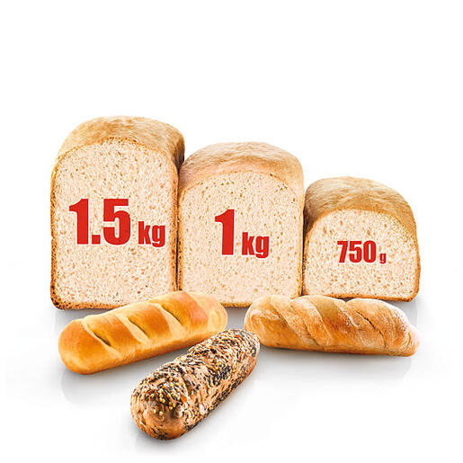 Tefal mini pekara  PF6101