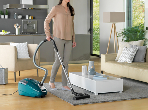 Rowenta usisivač RO3142