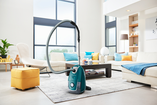 Rowenta usisivač RO3142