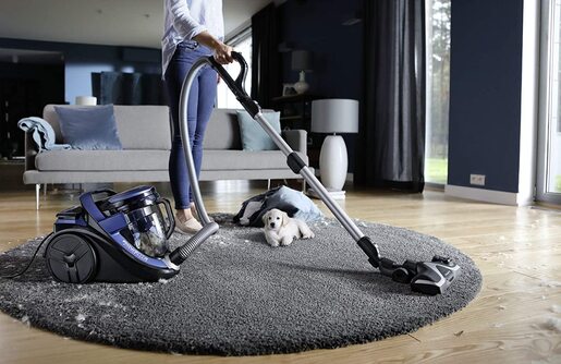 Rowenta usisivač RO7690