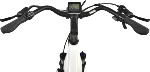 MS Energy c100 e-Bike