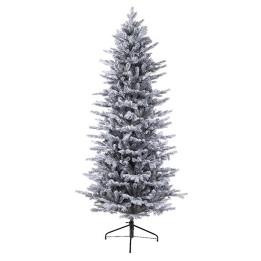Jelka Grandis fir frosted, visina 240cm (68.1493)