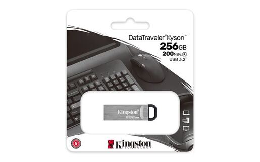 USB memorija Kingston 256GB DataTraveler Kyson (DTKN/256GB)