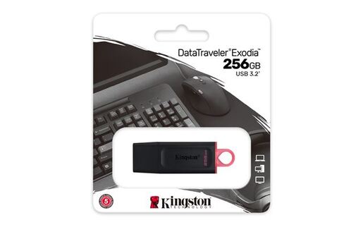 USB memorija Kingston 256GB DataTraveler Exodia (DTX/256GB)