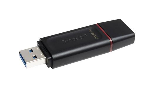 USB memorija Kingston 256GB DataTraveler Exodia (DTX/256GB)