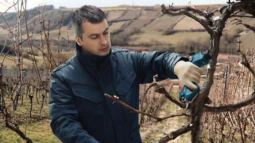 Bosch akumulatorske makaze za orezivanje ProPruner 12V; 2x3,0Ah (06019K1021)