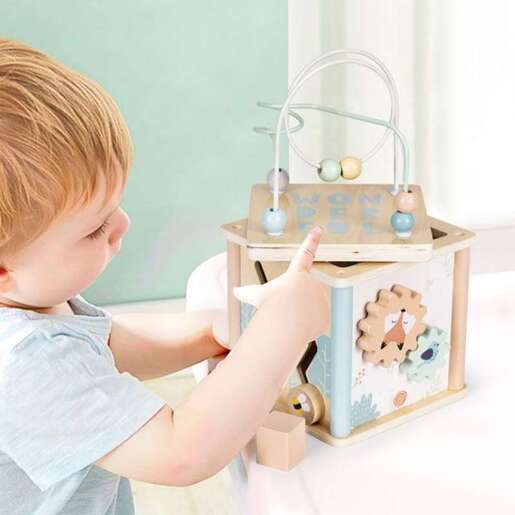 Eko Toys drvena edukativna kocka SORTER (1001)