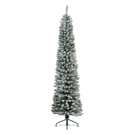 Jelka Pencil pine snowy, visina 300cm (68.4024)