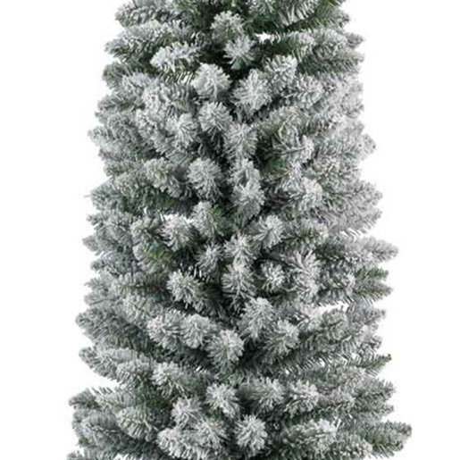 Jelka Pencil pine snowy, visina 300cm (68.4024)