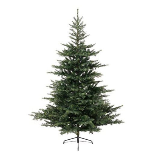 Jelka Grandis fir zelena, visina 150cm (68.1450)