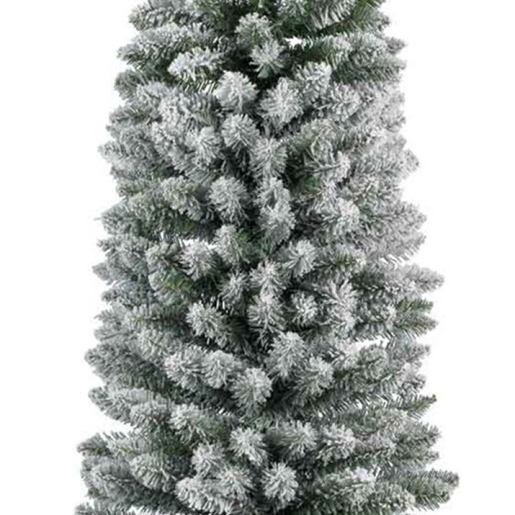 Jelka Pencil pine snowy, visina 120cm (68.4019)