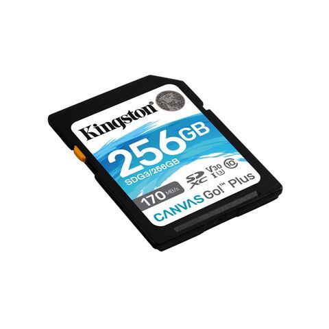 Memorijska kartica Kingston Canvas Go! Plus, SDXC, 256GB, R170/W90 MB/s, U3 (SDG3/256GB)