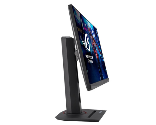 Monitor 24.5 ASUS ROG XG259QNS, FHD, Fast IPS, FreeSync, 380Hz, 1ms GTG (0.3ms minimum),  HDMI, DP, gaming