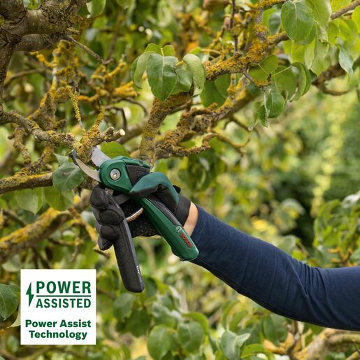 Bosch Aku. mak. za baštu EasyPrune 06008B2102