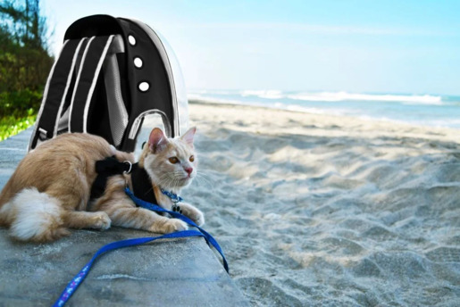 Petsi Ranac za kućne ljubimce Black ME04-01 BLACK