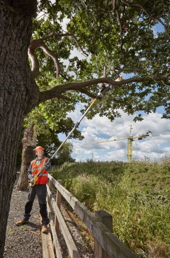 DeWALT aku baštenska testera DCMPS567N