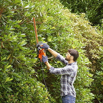 Black + Decker Makaze za živu ogradu BEHT201