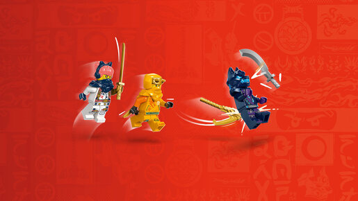 LEGO 71810 Mladi zmaj Riju 71810