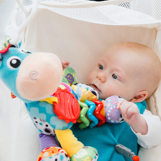 Playgro Aktiviti štipaljka magare