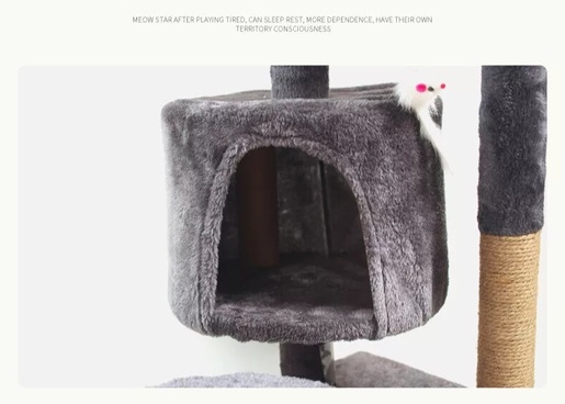 Češko za mačke Ivi Gray